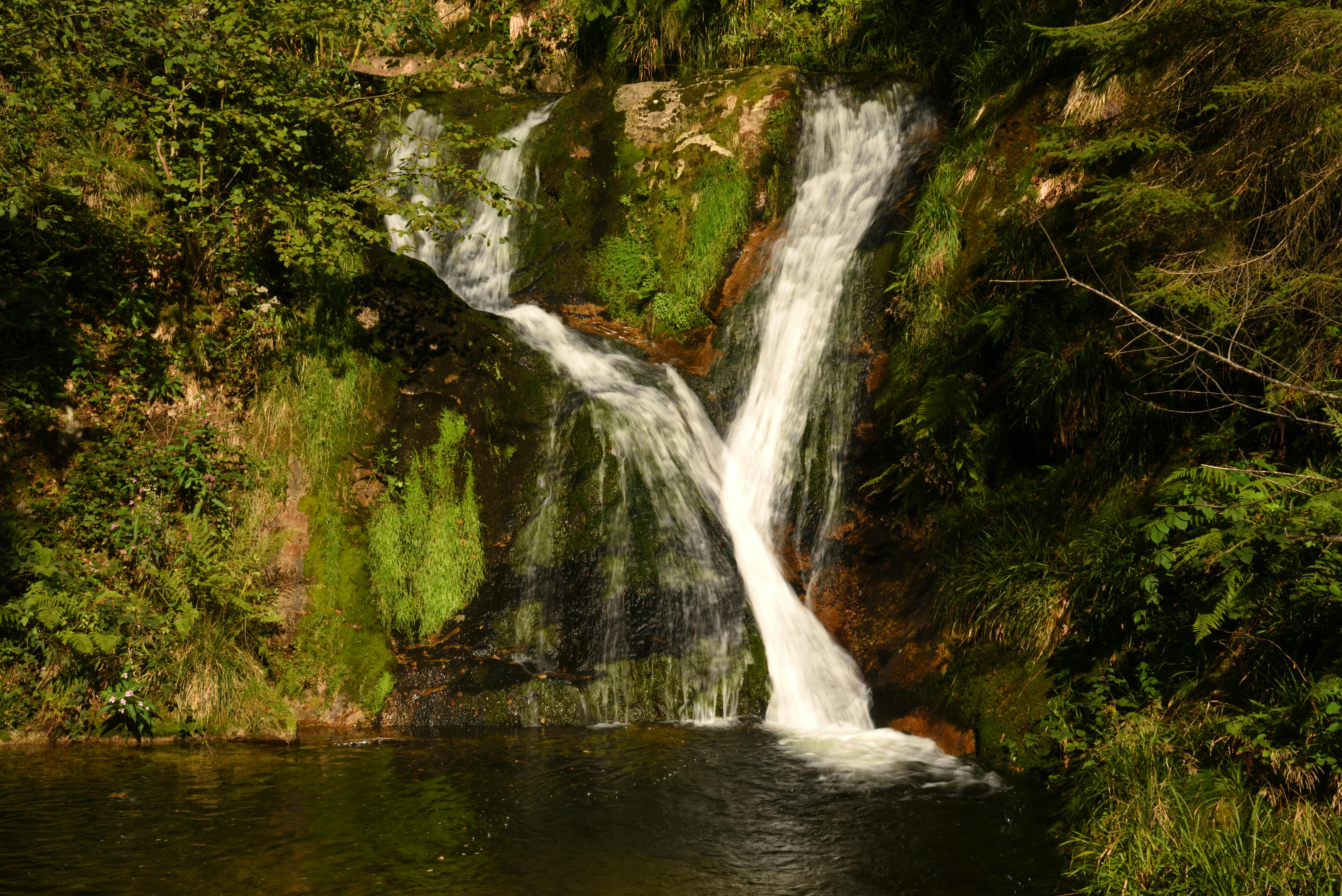 Bürgerservice Verwaltung
